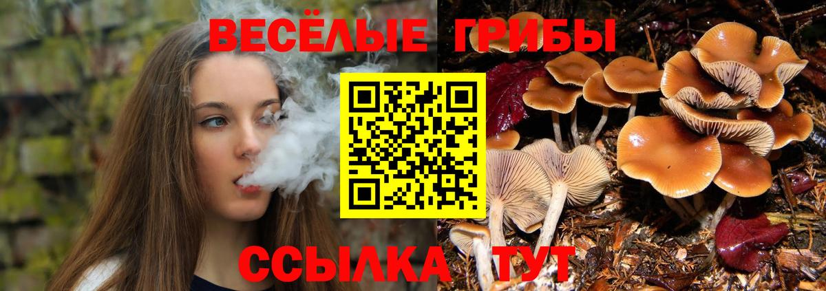 Галлюциногенные грибы GOLDEN TEACHER Лесосибирск