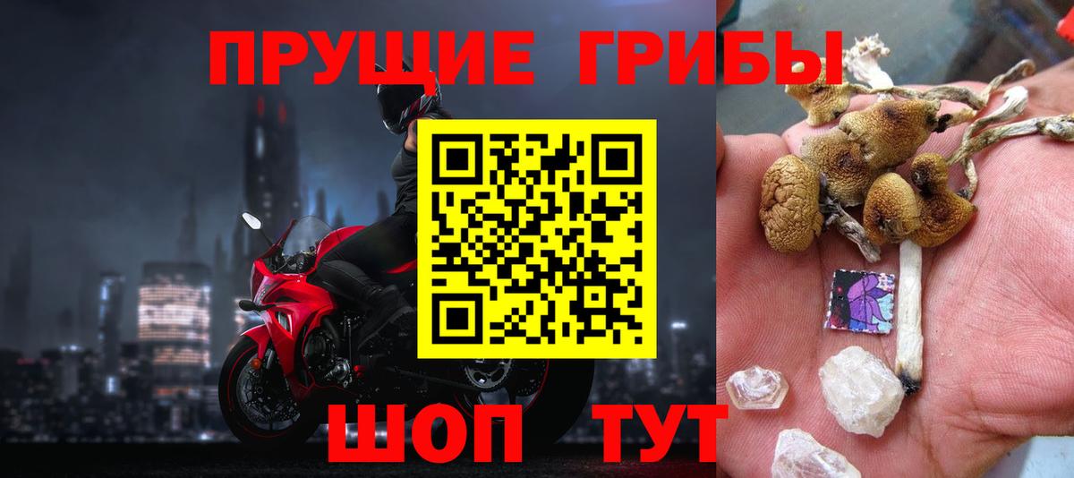 Галлюциногенные грибы Psilocybe  Лесосибирск  Галлюциногенные грибы мицелий 