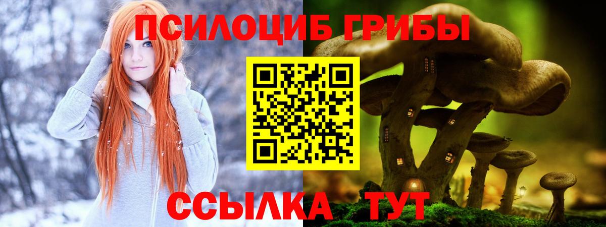 Псилоцибиновые грибы GOLDEN TEACHER Лесосибирск